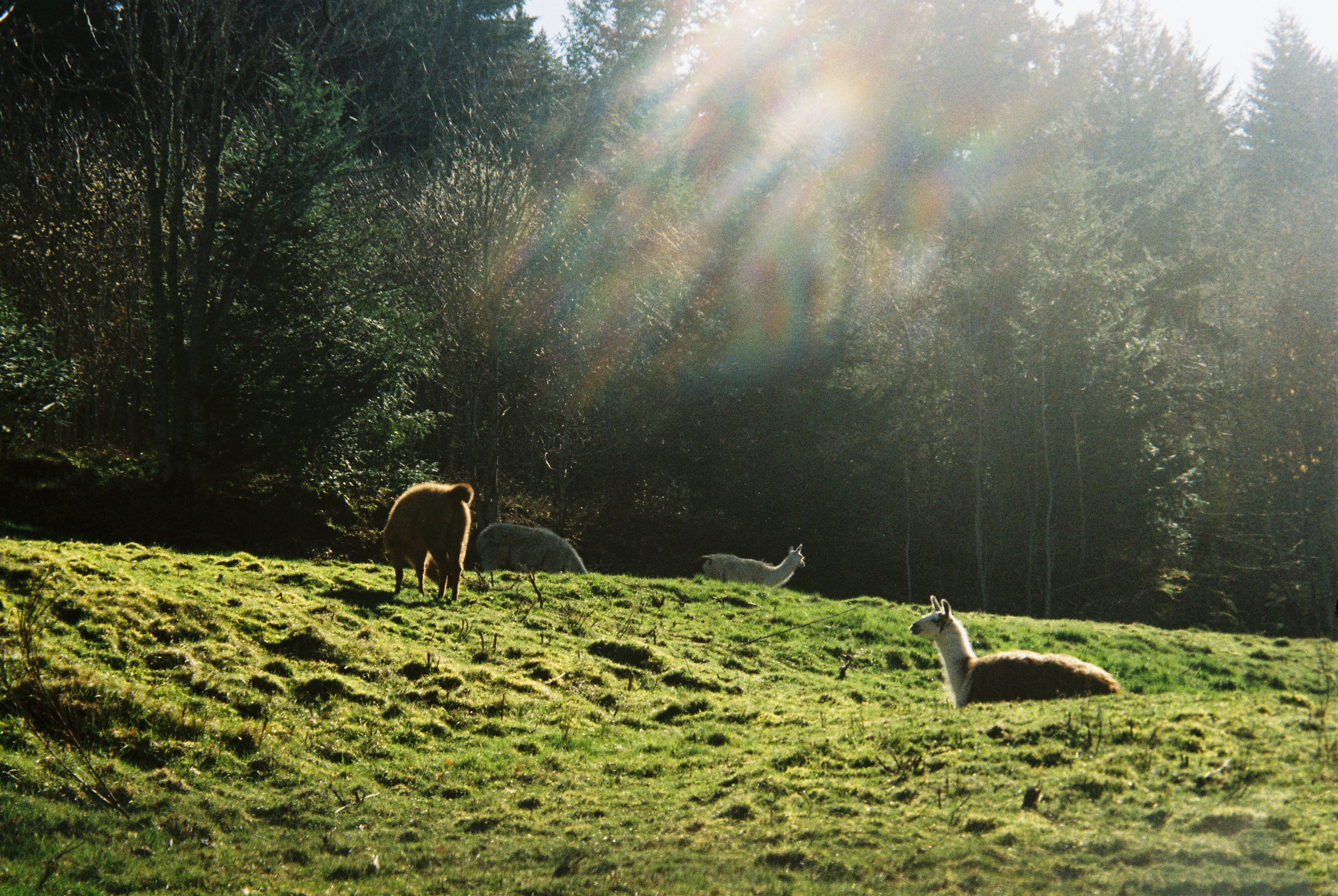 ariege april 23