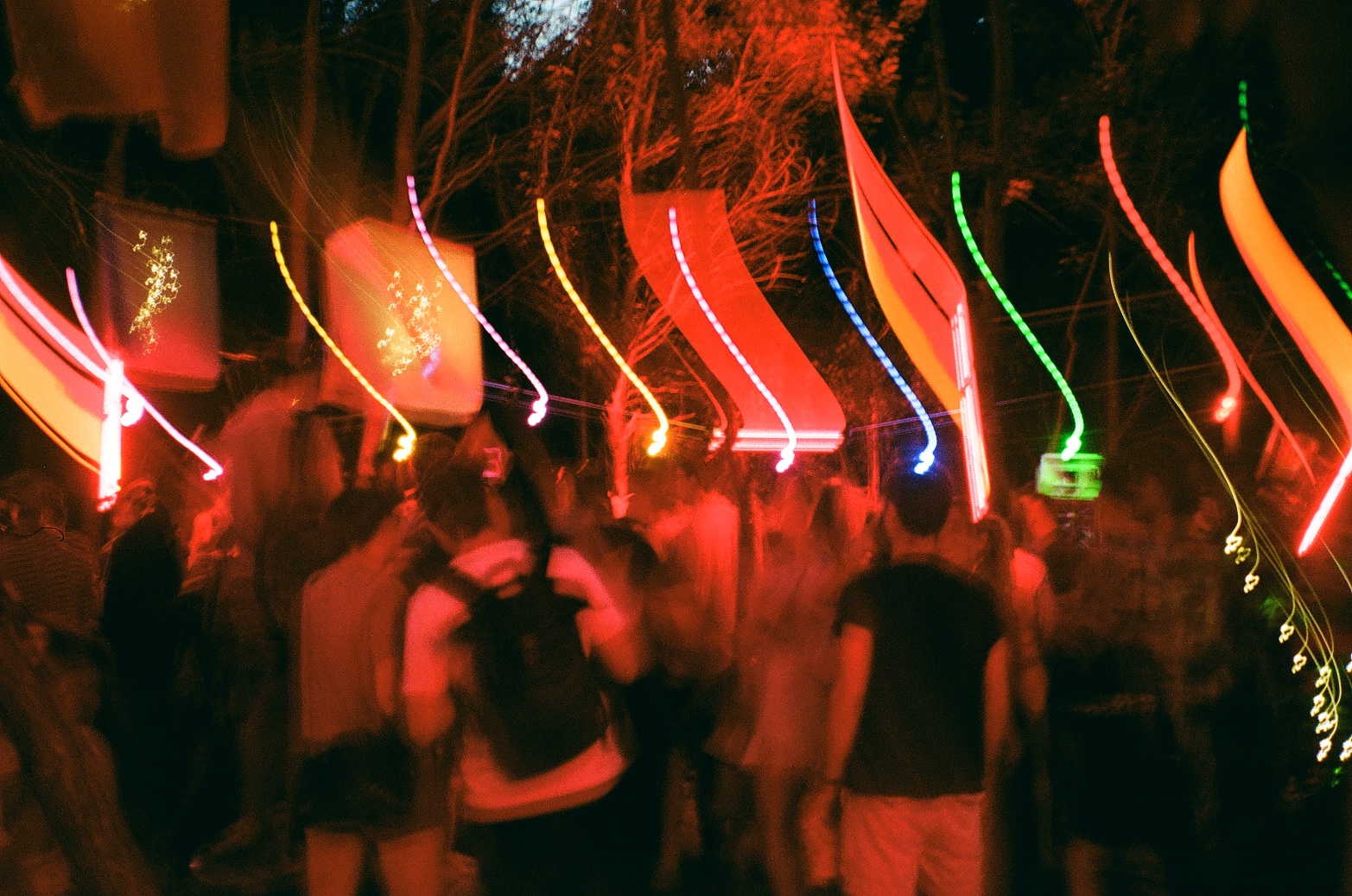 CCC Forest Party july 22